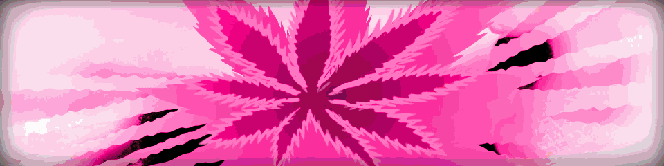 New Main calling card